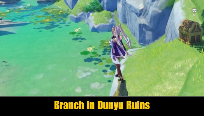 Branch In Dunyu Ruins