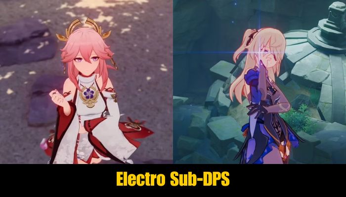 Electro Sub-DPS