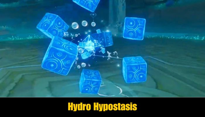 Hydro Hypostasis