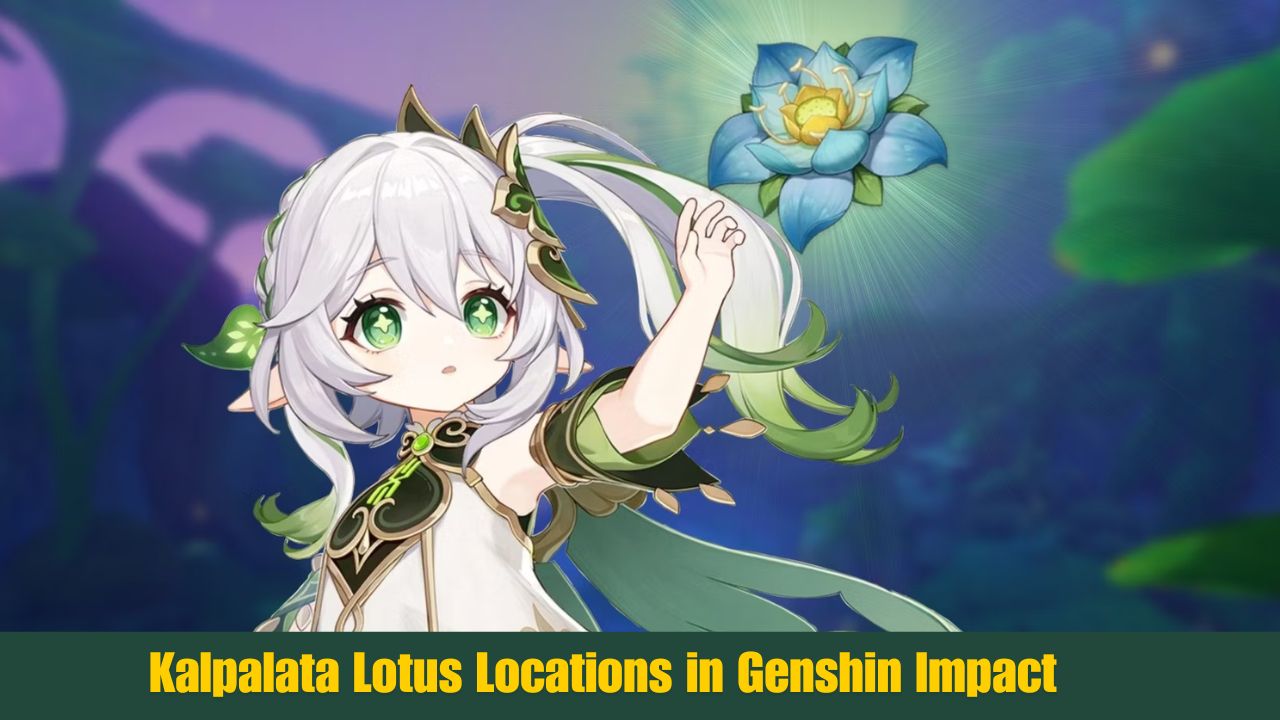 Kalpalata Lotus Locations in Genshin Impact