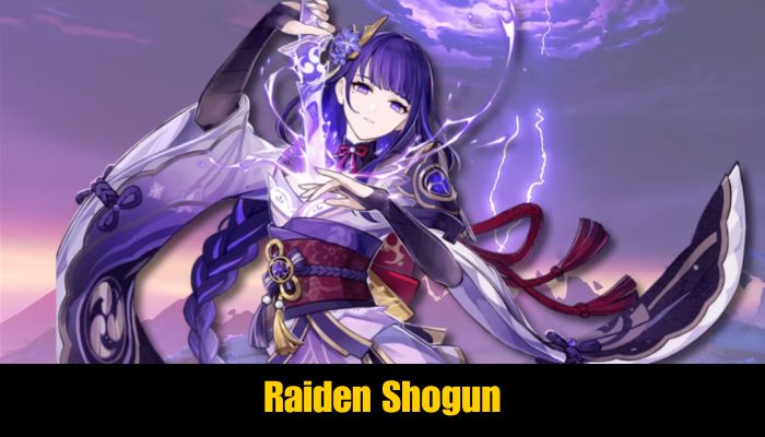 Raiden Shogun