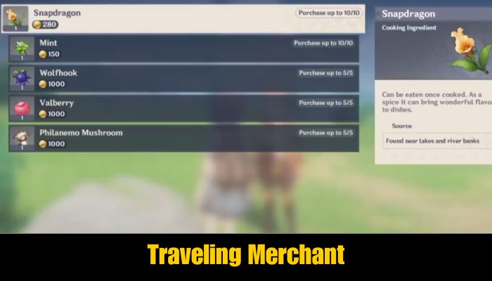 Traveling Merchant