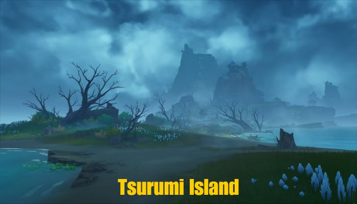 Tsurumi Island