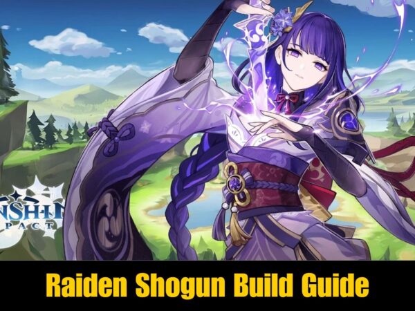 Raiden Shogun Build Guide